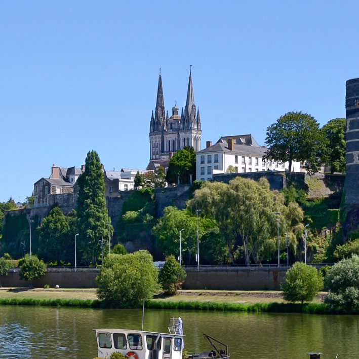 Mon Thé Bio à Angers 