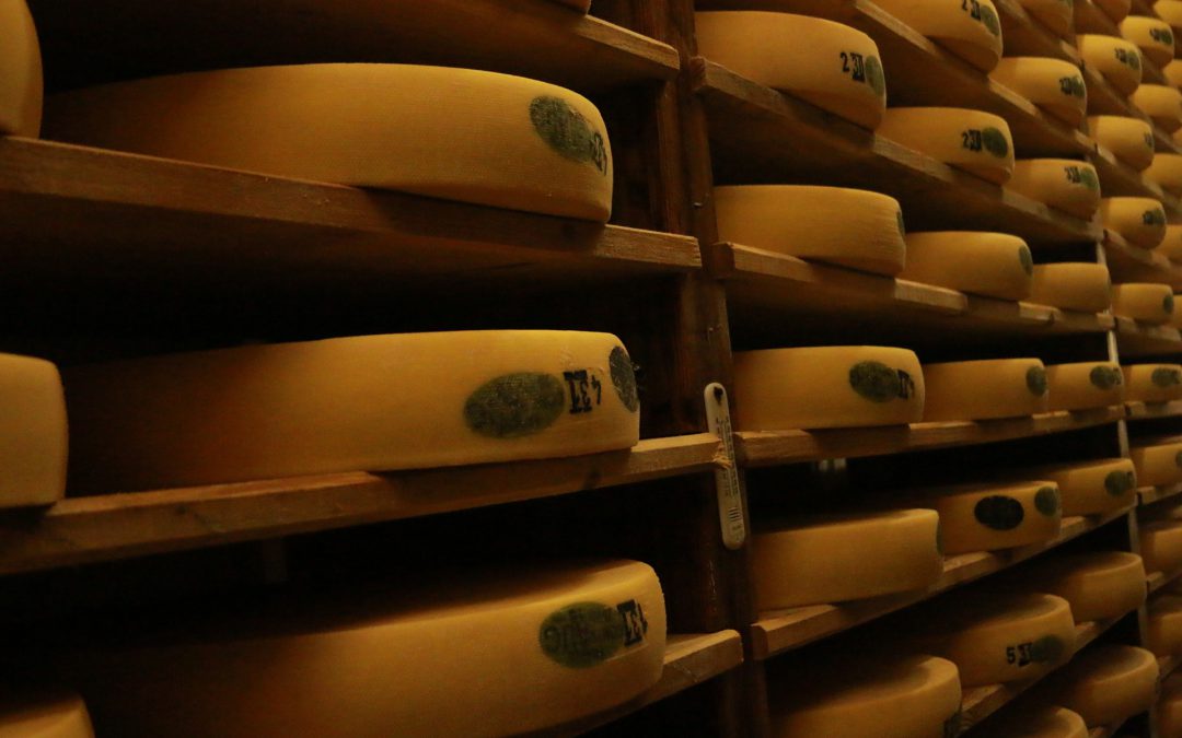 10 fromages français à connaître