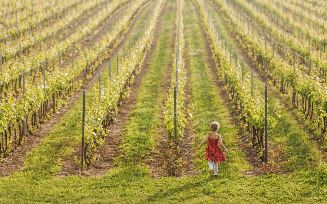 Oenotourisme : que visiter à Bordeaux ?