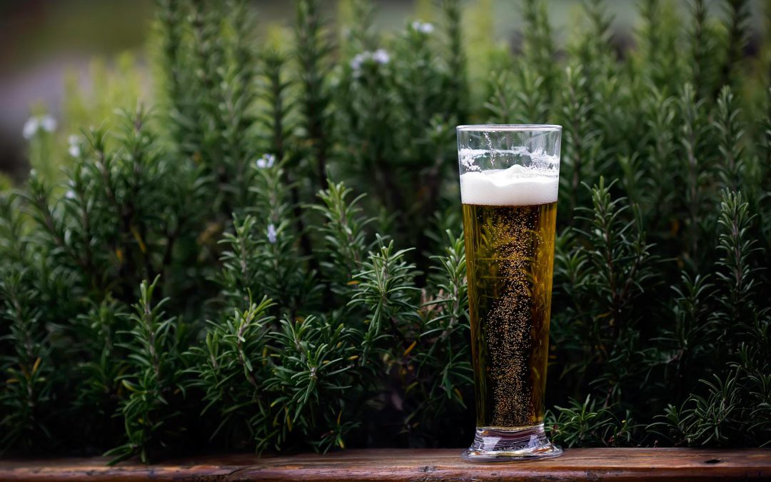 Comment bien servir une bière ?