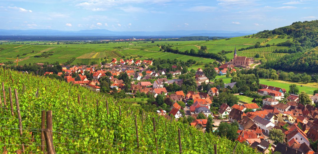 A la découverte des vins d’Alsace