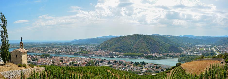 A la découverte des vins de la Vallée du Rhône