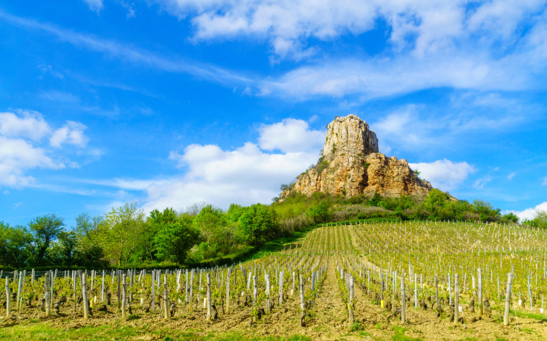 Tout savoir sur l’AOC Pouilly Fuissé