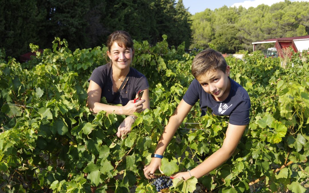 Domaine du Gros Pata : de génération en génération